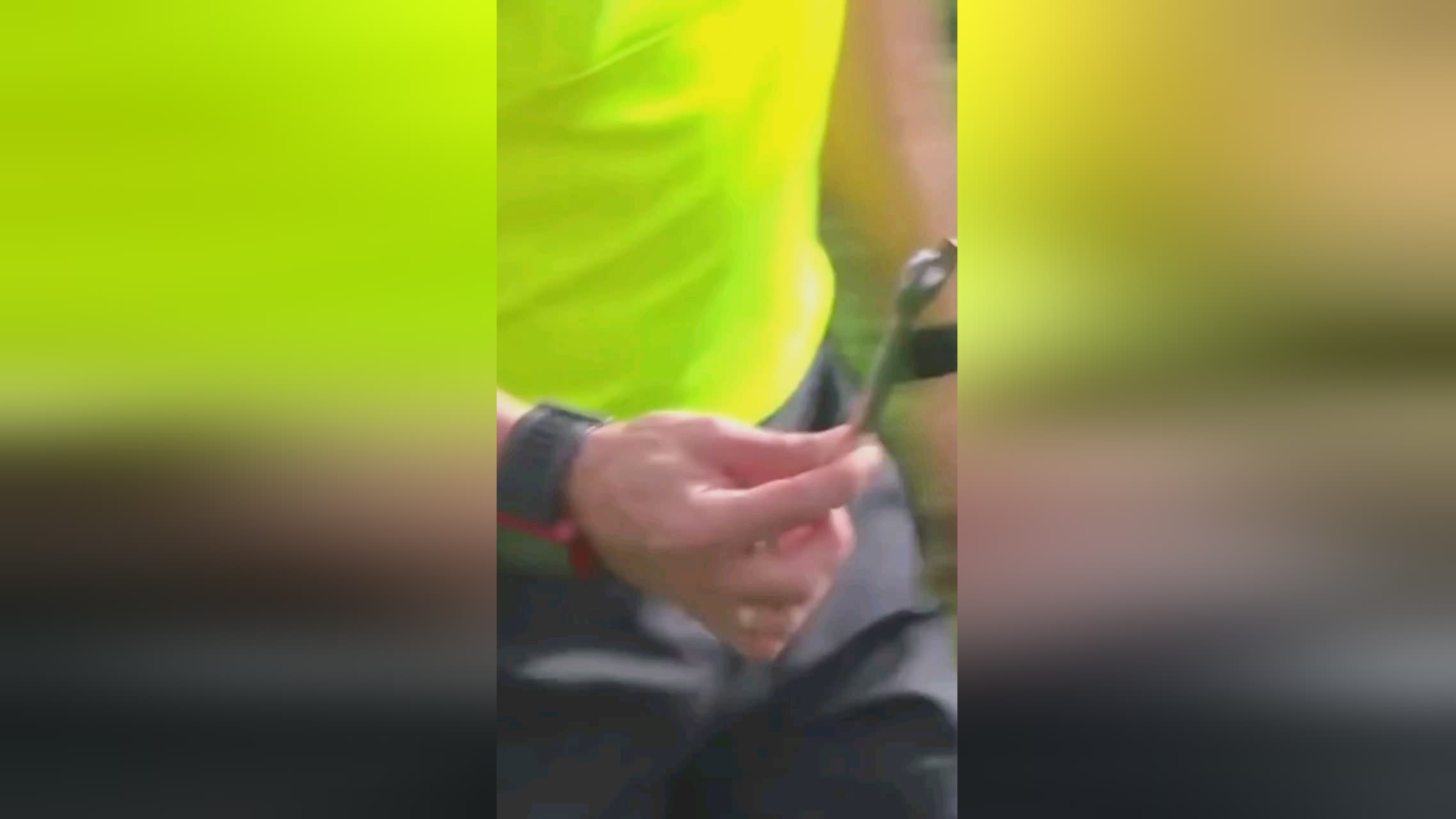 仅体